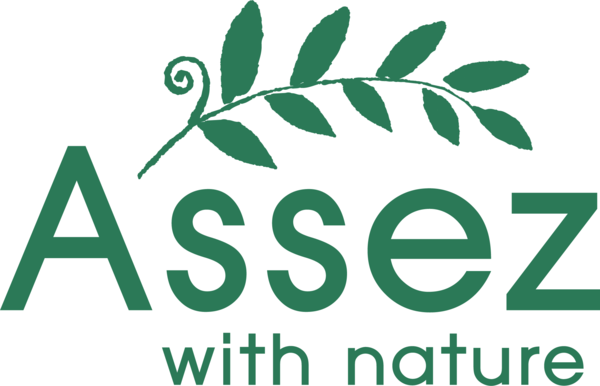 ▲나뭇잎이 ‘아세즈(Assez)’의 A부터 Z까지 감싼 로고는 자연과 함께 하면 충분하단 브랜드 가치를 전달한다.